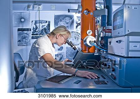 Stock Photography - Laboratory technician working on an electron microscope, Max-Planck research; Fermentation protein folding; Halle, Germany, Europe . Fotosearch
