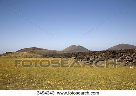 Stock Image - Lanzarote, Canary Islands, Spain, Europe . Fotosearch