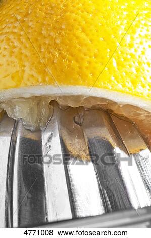 Lemon and juice squeezer View Large Photo Image Stock Photo - Lemon and juice squeezer . Fotosearch