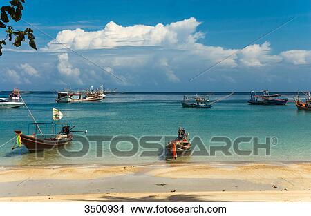 Picture - Longtail boats on the beach, Ko Phangan, Thailand . Fotosearch