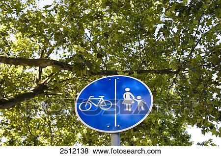 Low angle view of pedestrian walkway signpost against tree View Large Photo Image Stock Photo - Low angle view of pedestrian walkway signpost against tree . Fotosearch