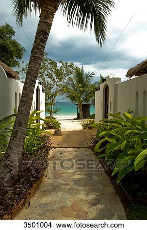 Picture - Luxurious bungalows at beach on Ko Samet, Thailand . Fotosearch