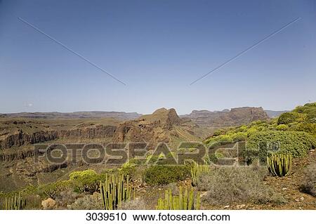 Stock Image - Mountain landscape, Gran Canaria, Canary Islands, Spain . Fotosearch