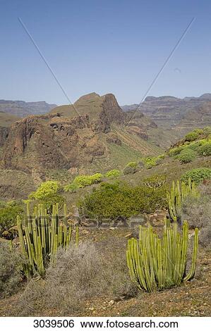 Stock Photograph - Mountain landscape, Gran Canaria, Canary Islands, Spain . Fotosearch