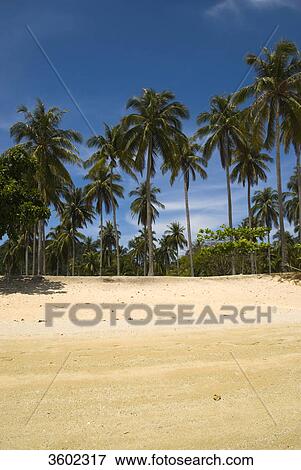 Muang Beach on Ko Ngai Island, Thailand View Large Photo Image Stock Photo - Muang Beach on Ko Ngai Island, Thailand . Fotosearch