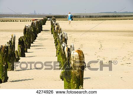 Stock Photograph - Ostanleger, Wangerooge, Lower Saxony, Germany, Europe . Fotosearch