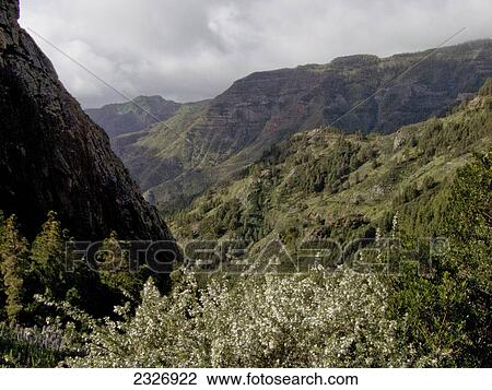 Overcast sky over mountain range, Cumbre ce Tajaque, La Gomera, Canary Islands, Spain View Large Photo Image Stock Image - Overcast sky over mountain range, Cumbre ce Tajaque, La Gomera, Canary Islands, Spain . Fotosearch