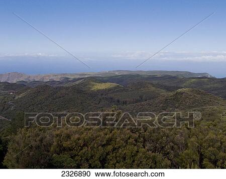 Stock Image - Panoramic view of forest on mountains, Tenerife, Canary Islands, Spain . Fotosearch