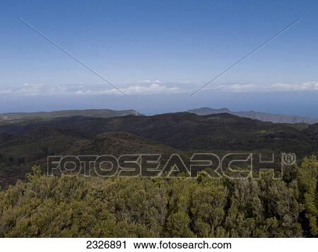 Stock Image - Panoramic view of forest on mountains, Tenerife, Canary Islands, Spain . Fotosearch