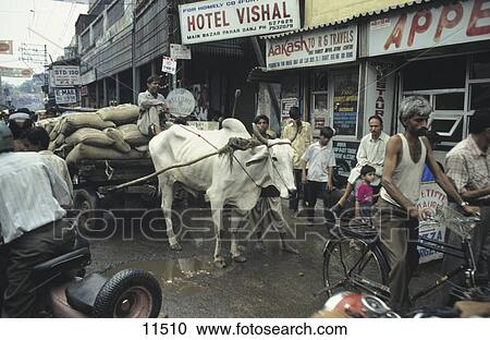 Stock Image - Pedestrians and ox cart on road, New Delhi, India . Fotosearch