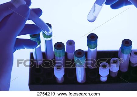Person holding vials of blood View Large Photo Image Stock Photo - Person holding vials of blood . Fotosearch
