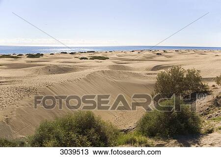 Stock Image - Sand dunes of Maspalomas, Gran Canaria, Canary Islands, Spain . Fotosearch