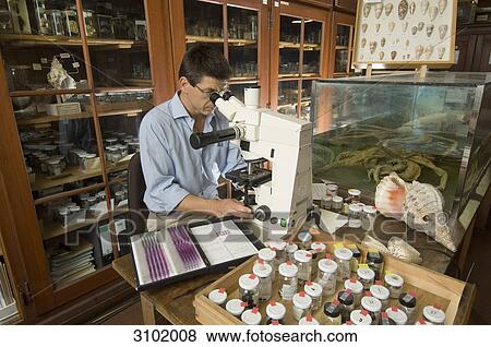 Scientist, Matthias Glaubrecht, Museum of Natural History, Berlin, Germany View Large Photo Image Stock Photo - Scientist, Matthias Glaubrecht, Museum of Natural History, Berlin, Germany . Fotosearch