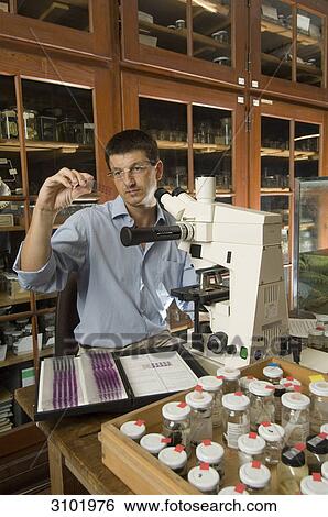 Scientist, Matthias Glaubrecht, Museum of Natural History, Berlin, Germany View Large Photo Image Stock Photograph - Scientist, Matthias Glaubrecht, Museum of Natural History, Berlin, Germany . Fotosearch