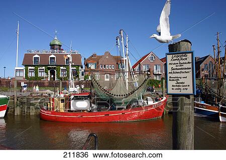 Seagull taking off from wooden post near river, Neuharlingersiel, Germany View Large Photo Image Stock Photograph - Seagull taking off from wooden post near river, Neuharlingersiel, Germany . Fotosearch