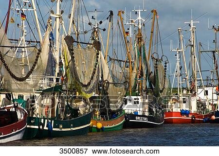 Shrimp boats in Greetsiel harbour, Germany View Large Photo Image Stock Photo - Shrimp boats in Greetsiel harbour, Germany . Fotosearch