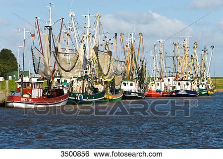 Shrimp boats in Greetsiel harbour, Germany View Large Photo Image Stock Photograph - Shrimp boats in Greetsiel harbour, Germany . Fotosearch
