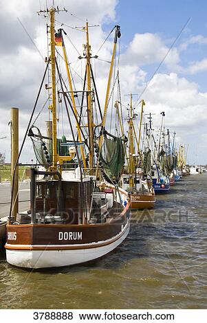Stock Photo - Shrimp boats in the harbor of Dorum, Germany . Fotosearch