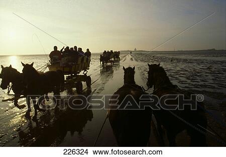 Picture - Silhouette of tourists riding on horse-drawn carriage at beach, Hamburg, Germany . Fotosearch