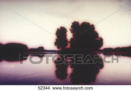 Silhouette of trees at lakeside View Large Photo Image Picture - Silhouette of trees at lakeside . Fotosearch