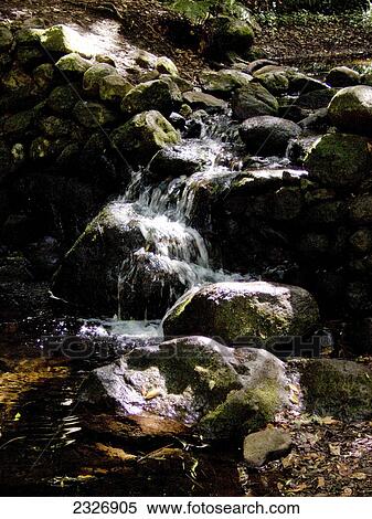 Stream flowing through rocks in forest, Garajonay National Park, La Gomera, Canary Islands, Spain View Large Photo Image Stock Photography - Stream flowing through rocks in forest, Garajonay National Park, La Gomera, Canary Islands, Spain . Fotosearch