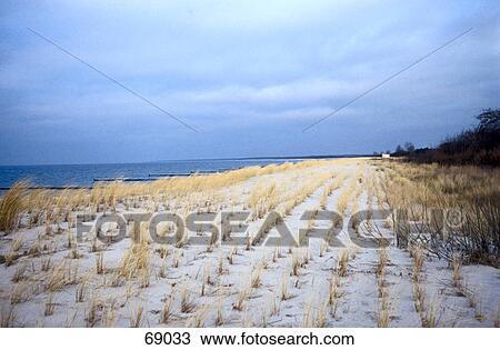 Tall grass on coast, Ahrenshoop, Mecklenburg, Pomerania, Germany View Large Photo Image Stock Image - Tall grass on coast, Ahrenshoop, Mecklenburg, Pomerania, Germany . Fotosearch