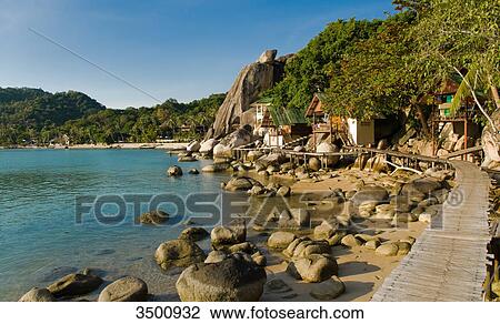 Tourists bungalows on Ko Tao, Thailand View Large Photo Image Stock Image - Tourists bungalows on Ko Tao, Thailand . Fotosearch