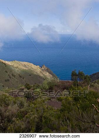 Trees at coast overlooking sea, Garajonay National Park, La Gomera, Canary Islands, Spain View Large Photo Image Stock Photo - Trees at coast overlooking sea, Garajonay National Park, La Gomera, Canary Islands, Spain . Fotosearch