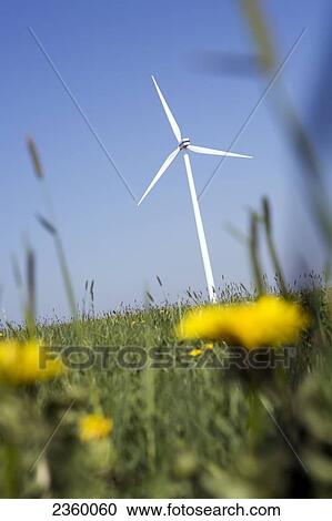 Wind turbine in field View Large Photo Image Stock Image - Wind turbine in field . Fotosearch