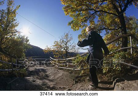 Picture - Witch wandering in a forest, Thale, Germany . Fotosearch