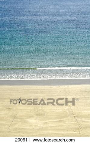 Aerial view of man walking on beach View Large Photo Image Stock Image - Aerial view of man walking on beach . Fotosearch