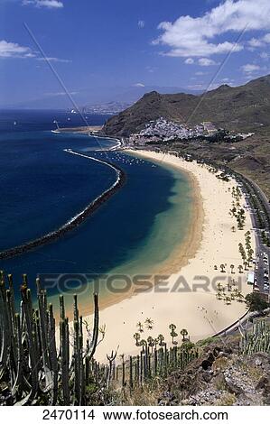 Picture - Aerial view of trees on beach, Playa de Las Teresitas, San Andres, Santa Cruz de Tenerife, Tenerife, Canary Islands, Spain . Fotosearch