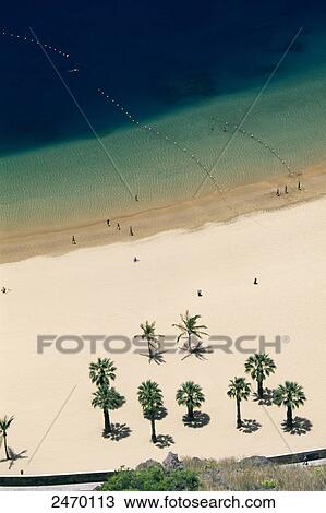 Aerial view of trees on beach, Playa de Las Teresitas, San Andres, Santa Cruz de Tenerife, Tenerife, Canary Islands, Spain View Large Photo Image Stock Image - Aerial view of trees on beach, Playa de Las Teresitas, San Andres, Santa Cruz de Tenerife, Tenerife, Canary Islands, Spain . Fotosearch