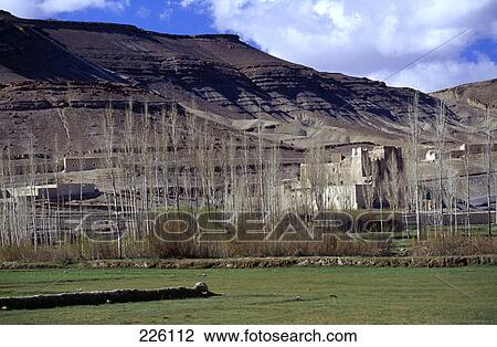 Stock Image - Bare trees and house on rural landscape, Morocco . Fotosearch