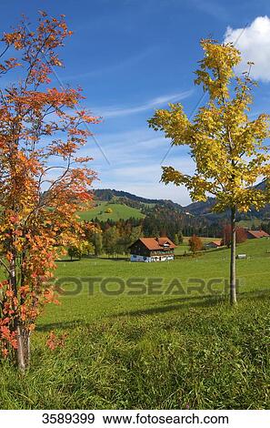 Stock Photo - Barnyard near Oberstaufen, Bavaria, Germany, Europe . Fotosearch