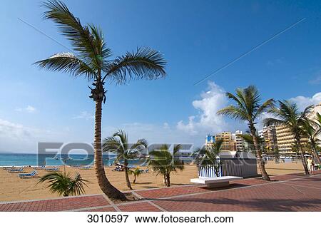 Stock Photo - Beach at Las Palmas, Gran Canaria, Canary Islands, Spain . Fotosearch