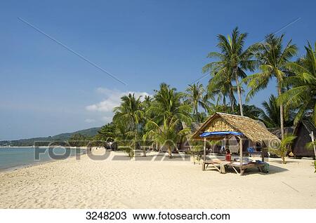 Beach huts, Lamai Beach, Ko Samui, Thailand View Large Photo Image Stock Image - Beach huts, Lamai Beach, Ko Samui, Thailand . Fotosearch