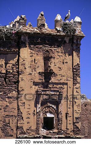 Bird perching on roof of ruins of fort, Morocco View Large Photo Image Stock Image - Bird perching on roof of ruins of fort, Morocco . Fotosearch