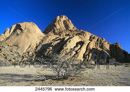 Stock Photograph - Bush in front of mountain, Spitzkoppe, Namib Desert, Namibia . Fotosearch