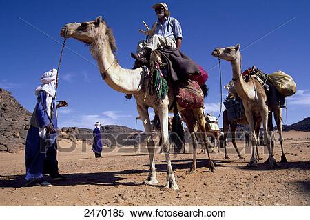 Camel riders, Lybia View Large Photo Image Stock Photography - Camel riders, Lybia . Fotosearch