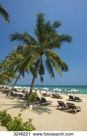 Chaweng Beach, Ko Samui, Thailand View Large Photo Image Stock Image - Chaweng Beach, Ko Samui, Thailand . Fotosearch