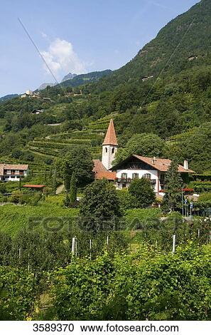 Stock Image - Church in Gratsch and Castle Thurnstein, Dorf Tirol, South Tyrol, Italy, Europe . Fotosearch