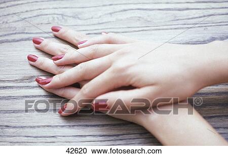 Close-up of a woman's hands View Large Photo Image Stock Image - Close-up of a woman's hands . Fotosearch