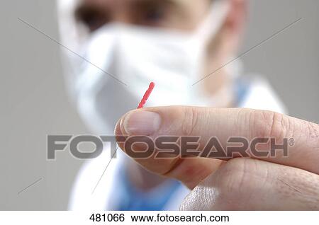 Close-up of male doctor holding acupuncture needle View Large Photo Image Stock Photograph - Close-up of male doctor holding acupuncture needle . Fotosearch