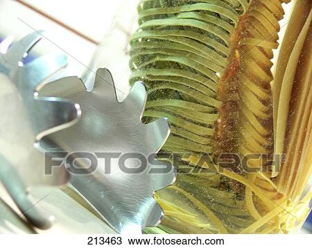 Close-up of tongs and pasta noodles View Large Photo Image Stock Image - Close-up of tongs and pasta noodles . Fotosearch