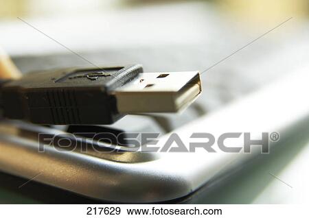 Close-up of USB cable on laptop View Large Photo Image Stock Photo - Close-up of USB cable on laptop . Fotosearch