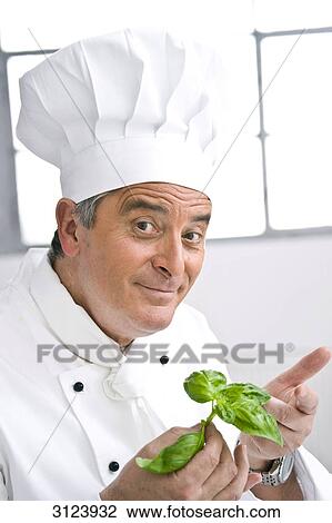 Cook holding basil leaves, portrait View Large Photo Image Stock Image - Cook holding basil leaves, portrait . Fotosearch