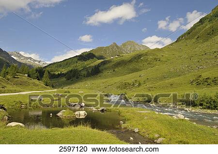Stock Image - Creek in field, Trentino-Alto Adige, Italy . Fotosearch