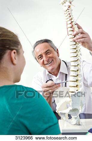 Doctor showing a spine model to female patient View Large Photo Image Stock Photograph - Doctor showing a spine model to female patient . Fotosearch