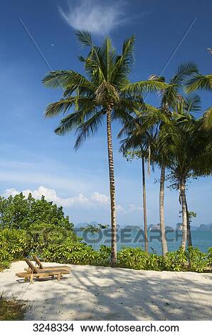 Picture - Evason Six Senses Hideaway, Yao Noi, Thailand . Fotosearch